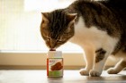Hund Katze B.A.R.F. Hundefutter Nahrungsergänzungen Snacks Fleisch-Gewürz 20g 1 Stück -5- Anifit